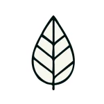 Illustration of a leaf representing Finestilo’s eco-friendly luxury home decor and sustainable practices.